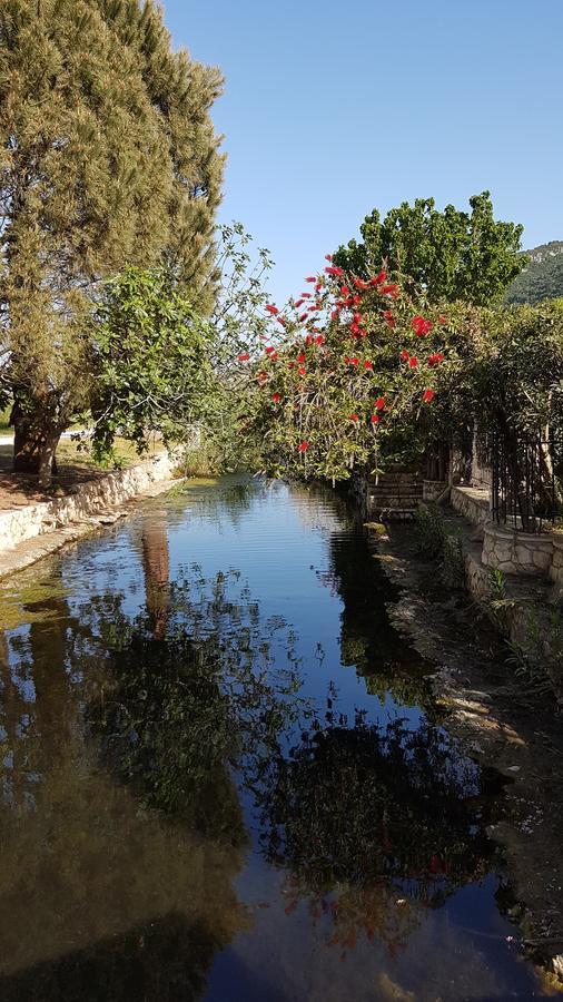 Castello Bellos Villas & Apartments Keri ภายนอก รูปภาพ
